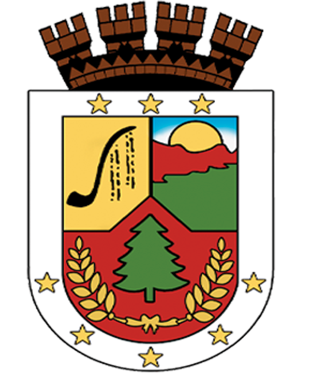 Municipalidad de Lumaco
