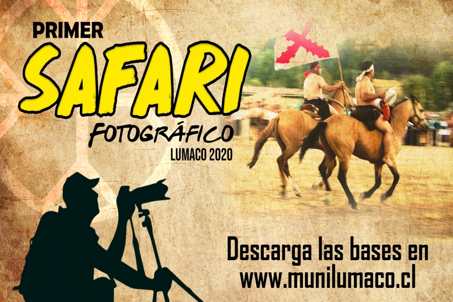 SAFARI.jpg