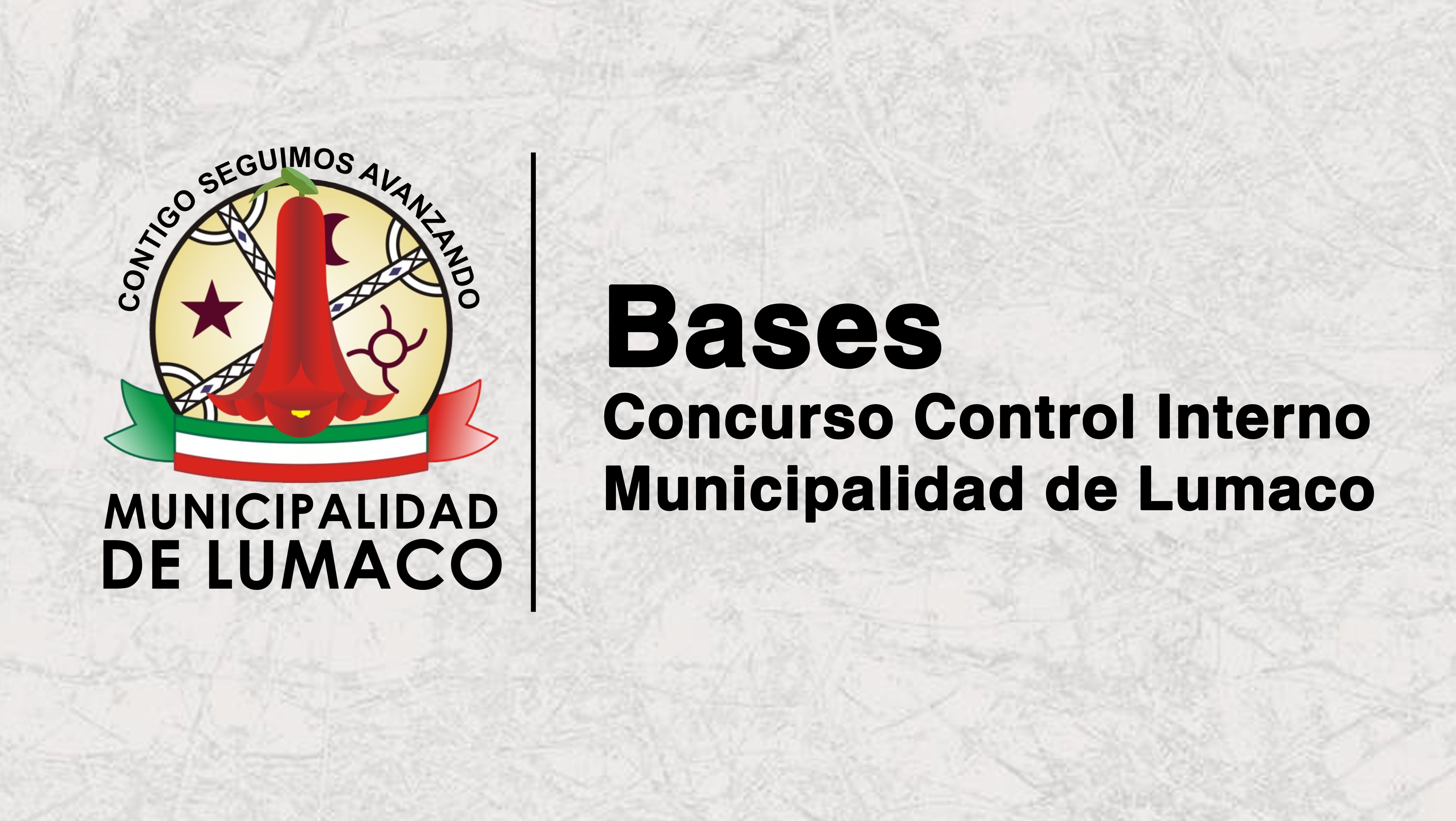 CONTROL INTERNO CONCURSO .jpg